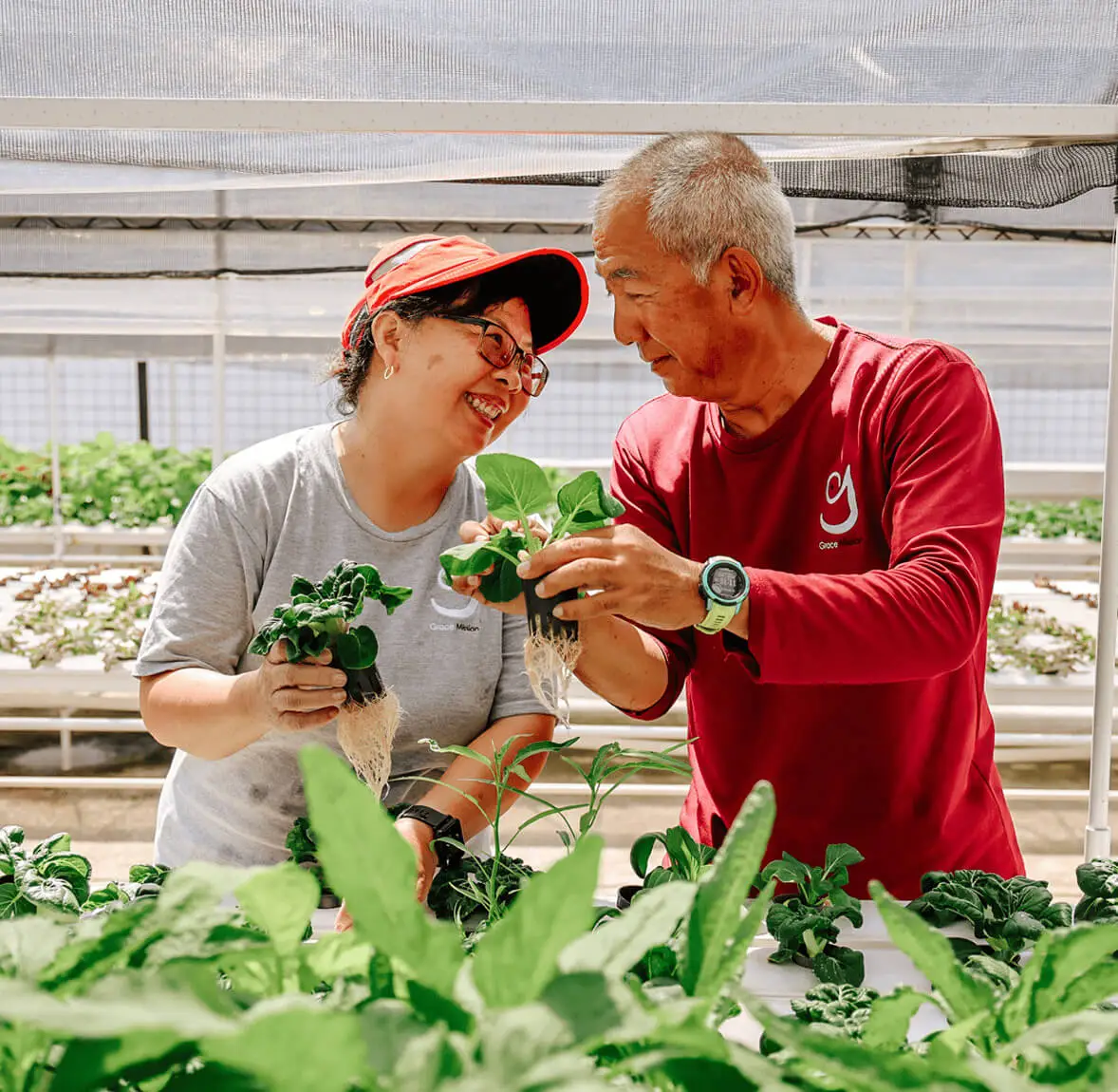 An autistic staff working in a farm